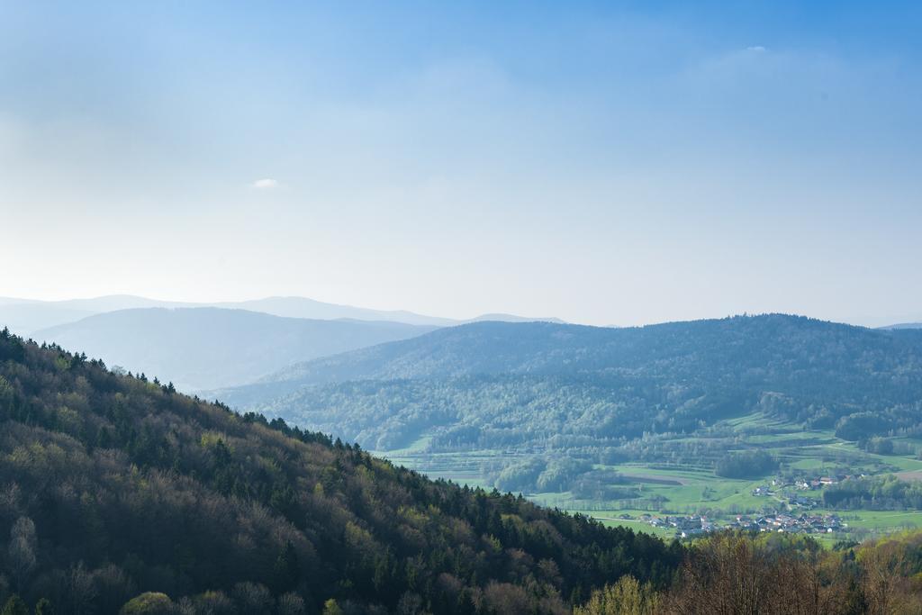 Panorama-Landgasthof Ranzinger Schöfweg Exterior foto